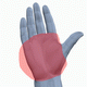 MG: la palma de la mano
